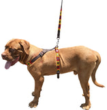 ANDALGALÃ - Polo Dog Harness & Lead Set