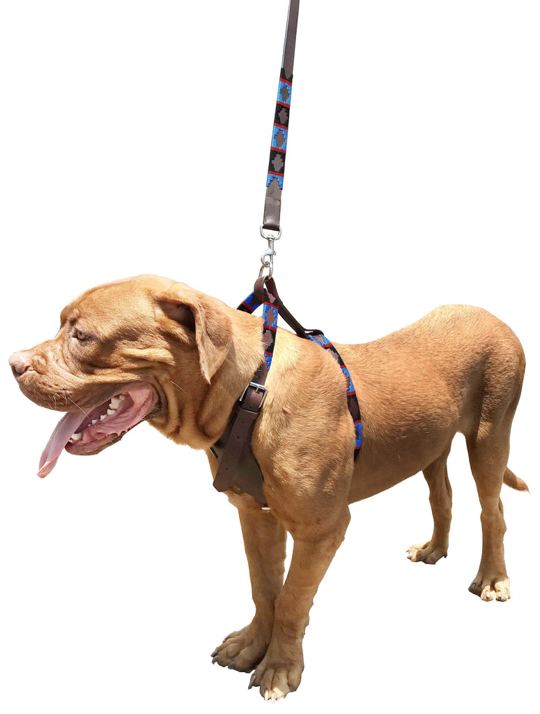 ARECO - Polo Dog Harness & Lead Set