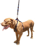 ARECO - Polo Dog Harness & Lead Set