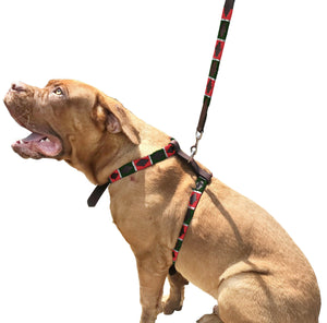 GARÃN - Polo Dog Harness & Lead Set