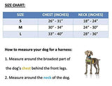 CENTENARIO - Polo Dog Harness & Lead Set